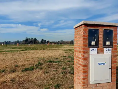 Terreno - Venta - Argentina, Bella Vista - Av. Int. Remigio Lopez 490