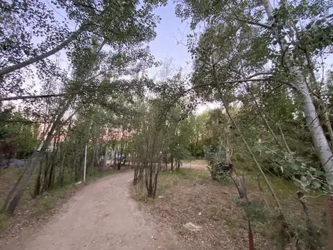 María Magalena Güemes 2000