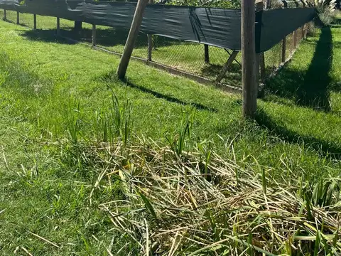 Venta Terreno en Parque Gorriti