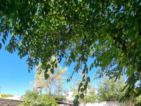 Casa en Alquiler de 2 dormitorios