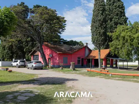 Jacaranda 200