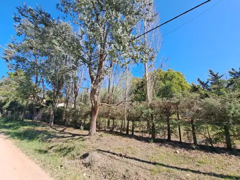 Dos amplios lotes con hermosa arboleda
