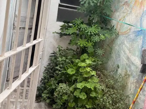 Depto Tipo Casa en Venta de 2 ambientes