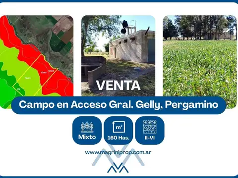 Campo Mixto 160 Has. en Acceso Gral. Gelly, Pergamino, Buenos Aires