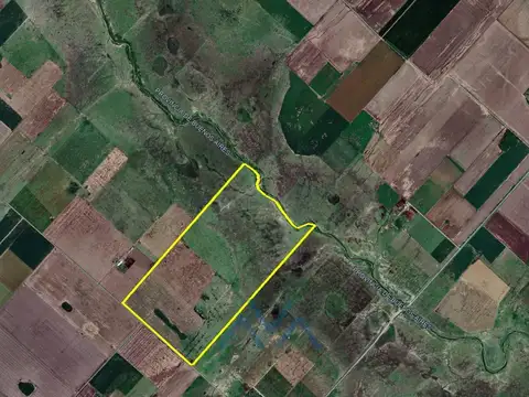 Campo Mixto 160 Has. en Acceso Gral. Gelly, Pergamino, Buenos Aires
