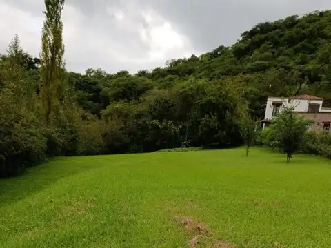 Buena Vista 100