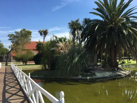 Terreno en Venta 20  mts Frente