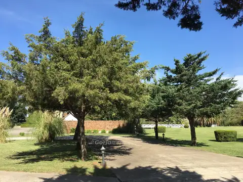 Terreno en Venta 40  mts Fondo