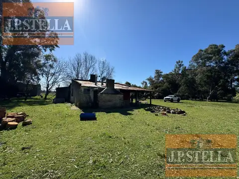 Campo 19 ha con frente RP 41 - Casa 3 amb. Molino y Tanque Australiano - San Miguel del Monte