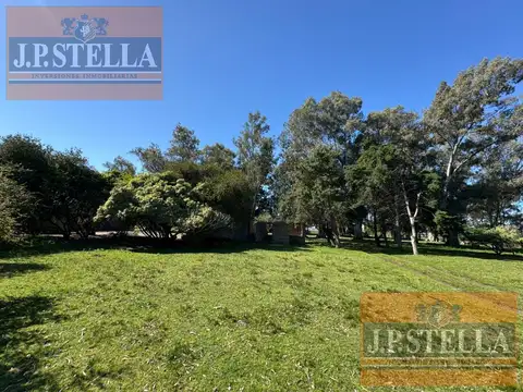 Campo 19 ha con frente RP 41 - Casa 3 amb. Molino y Tanque Australiano - San Miguel del Monte