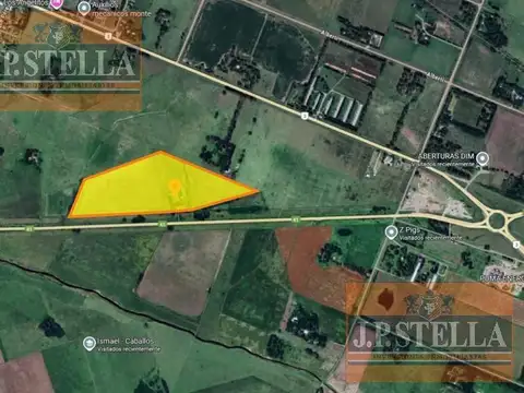 Campo 19 ha con frente RP 41 - Casa 3 amb. Molino y Tanque Australiano - San Miguel del Monte