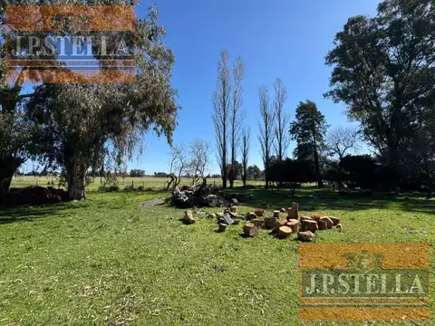 Campo 19 ha con frente RP 41 - Casa 3 amb. Molino y Tanque Australiano - San Miguel del Monte