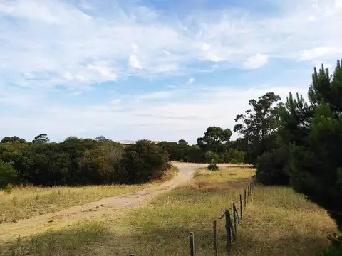 Avenida 4 entre 170 y 100