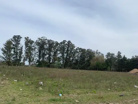 Terreno en Venta de 286,0 m2