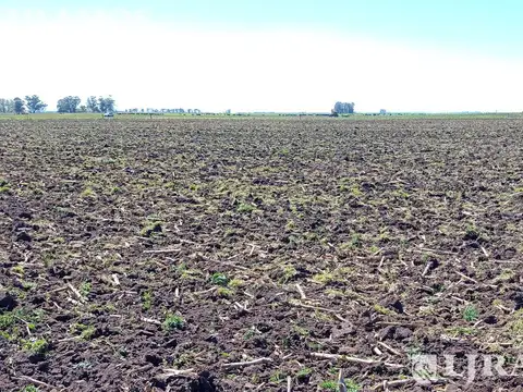 832 ha mixtas, La Pastora, Tandil.