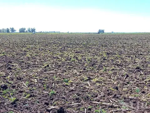 832 ha mixtas, La Pastora, Tandil.
