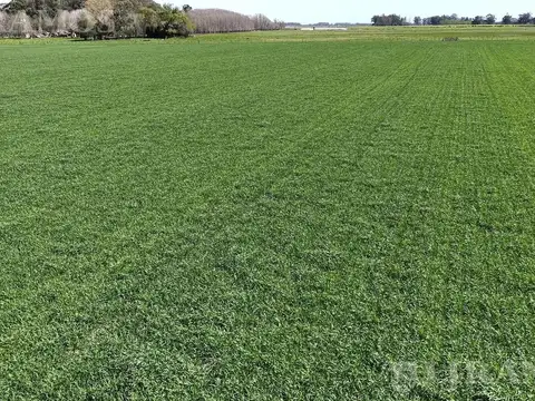 832 ha mixtas, La Pastora, Tandil.