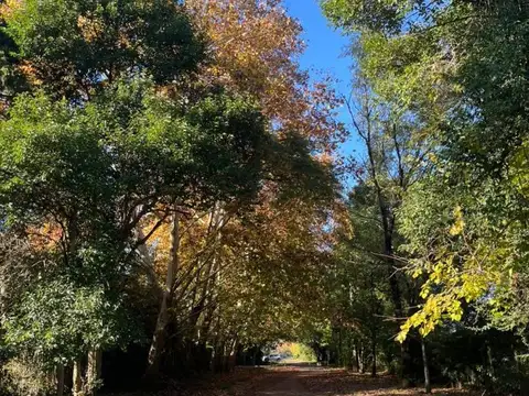 FINANCIADO LOTE  DE 440M2 EN PARQUE PERÓ -DEL VISO 