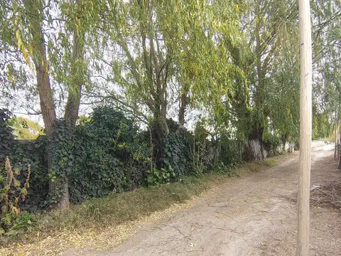 Terreno en Venta 25  mts Frente