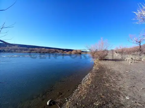VENTA CAMPO LONCOPUE ,  NEUQUEN .