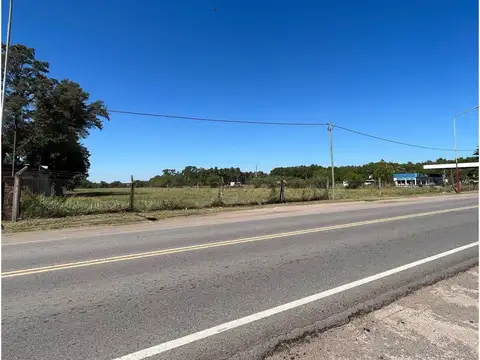 Ruta 6