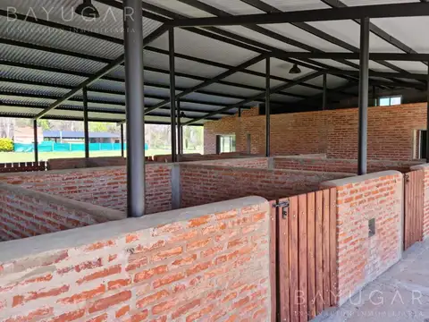 Terreno en Venta de 800,0 m2