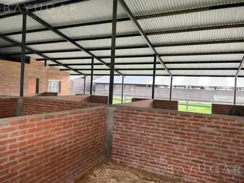 (A) - Oportunidad Única – Venta de Caballerizas en San Jorge Chico, General Rodríguez