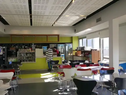 Humberto  1° al 100