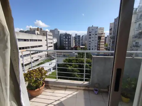 Pringles 1000