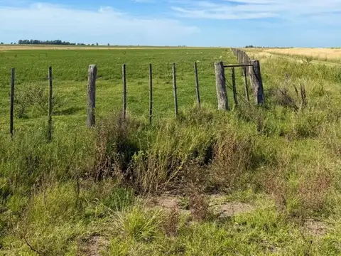 Acceso a Colonia Barón
