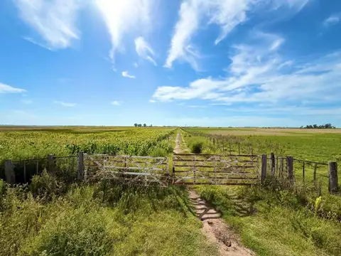 Acceso a Colonia Barón