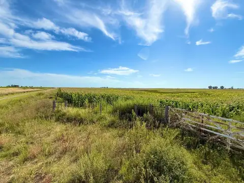 Campo Mixto de 163 Hectáreas en Colonia Barón -LP