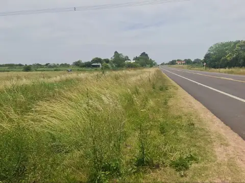 Terrenos sobre Ruta 90