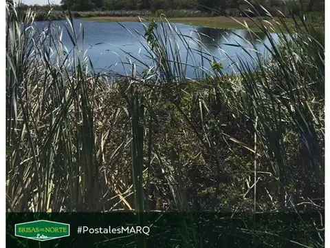 Terreno en Venta de 300,0 m2