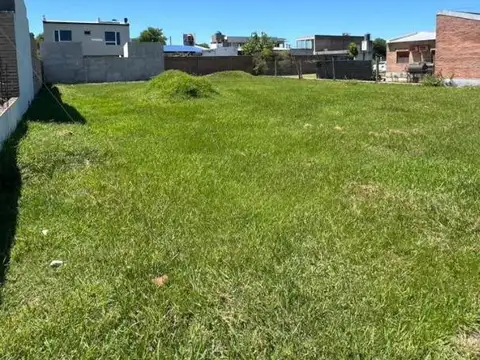 Torres Alberto
