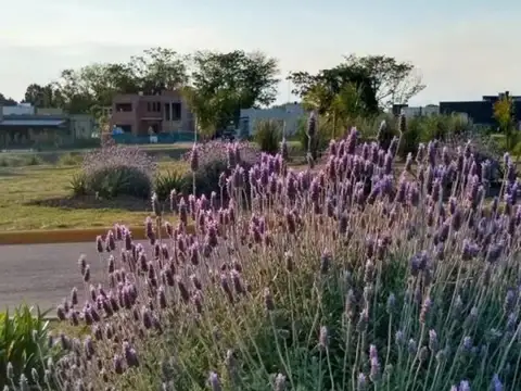 OPORTUNIDAD, VENTA TERRENO PILAR DEL ESTE SANTA LUCÍA