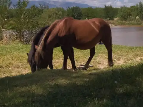 Chacra de 5 Has en Nono, a Metros del Río con Vistas Únicas