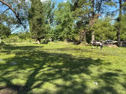 FRACCION DE 2 HA EN VENTA. PILAR DEL ESTE