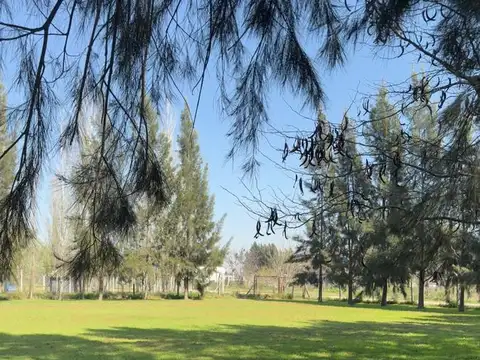 Terreno en Venta en San Vicente, USD 50.000