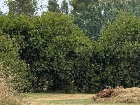 Terreno en Venta en San Vicente, USD 50.000