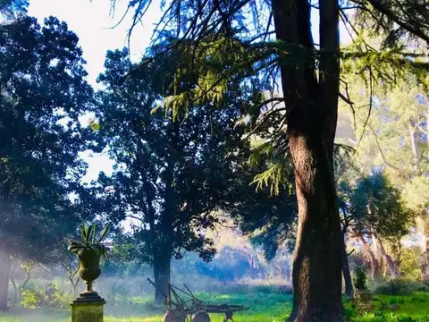 Roque Sáenz Peña y Falucho