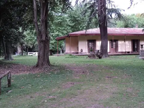 Campo en alquiler - 14 Dormitorios 4 Baños - 50.000Mts2 - Tristán Suarez