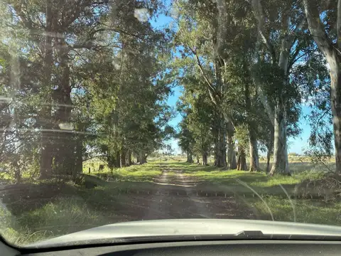 Campo en alquiler - 14 Dormitorios 4 Baños - 50.000Mts2 - Tristán Suarez