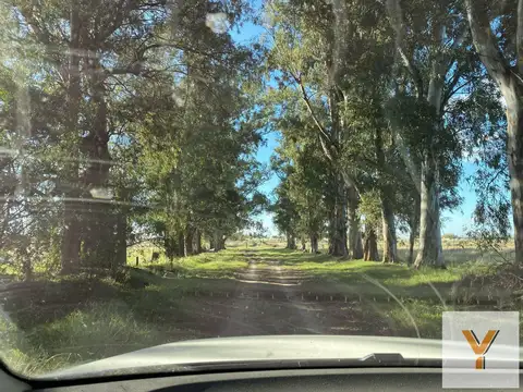 Campo en alquiler - 14 Dormitorios 4 Baños - 50.000Mts2 - Tristán Suarez