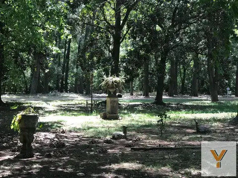Roque Sáenz Peña y Falucho