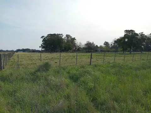 Terreno en Venta de 17555,0 m2