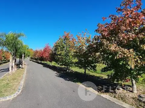 Terreno en Venta de 1046,0 m2