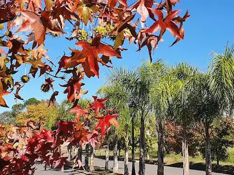 Chateau Pilar, Villa Rosa, Pilar