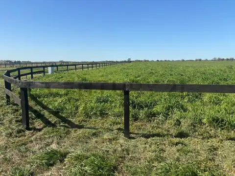 Terreno en Venta de 11061,0 m2