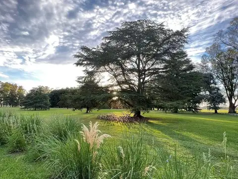 VENTA LOTE CHACRAS SAN ANDRES, CHACRAS 2 LOTE 318